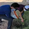 Voluntariado en la colonia Paso del Norte