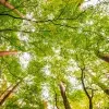 ¿Porqué importa la educación ambiental y porqué tiene un día mundial?