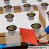 Alumno Carlos Barragán y su proyecto hidroponico digital