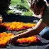 Fiesta de Humanidades en PrepaTec Guadalajara celebra el Día de Muertos.