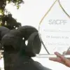 Hadit Shaddai Bolaños Lara fue galardonada con el premio Contadora del Año 2021