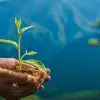 Un profesor investigador del Tec de Monterrey trabajó en un informe climático en el que se advierte la necesidad de tomar acciones contra la crisis climática