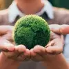 Egresada Tec, emprendedora, cuidado ambiental, Luz Moreno