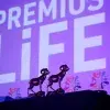 Estatuas de Borregos de Oro sobre mesa en Premios LiFE
