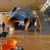 Universidad de Princeton, PrepaTec, 2023