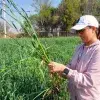Estudiante del Tec Campus Querétaro durante su trabajo de campo en el CAETEC