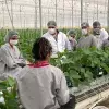 Alumnos en el Campo Agroexperimental del Tec de Monterrey