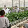 Alumnos en el Campo Agroexperimental del Tec de Monterrey