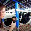 Profesores y estudiantes coordinan proyectos de tecnología sustentable en establo del CAETEC