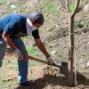 Miembro de la comunidad Tec campus León plantando un árbol.