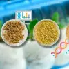 Va-Nano es un proyecto desarrollado por EXATEC del campus Querétaro que consiste en un biopolímero obtenido a partir de residuos de plátano.