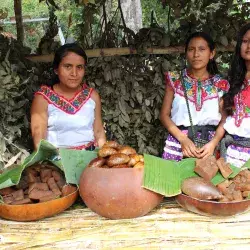 Empoderan a mujeres laboralmente. 