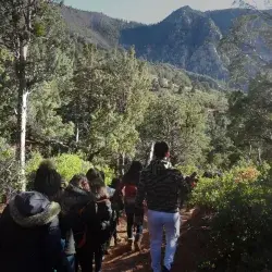 Alumnos explorando