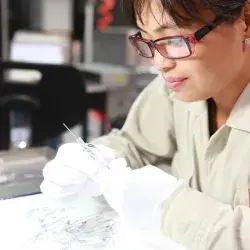 Organ on a chip Tec MIT