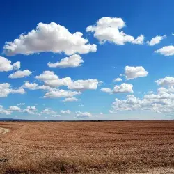 Rise