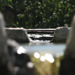 Cuidado del agua y sus cuencas