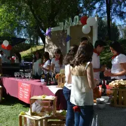 Química del vino