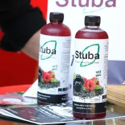 Stuba