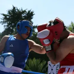 pelea de box
