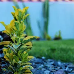 PrepaTec Zacatecas desarrolla proyecto para la Ciudad del Conocimiento