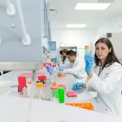 lab