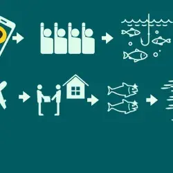 App Amor a Mar