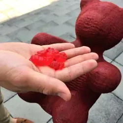 Lactobears