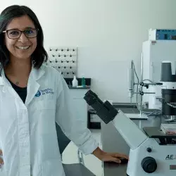 Crea plástico hecho de bacterias, que es biodegradable al 100%