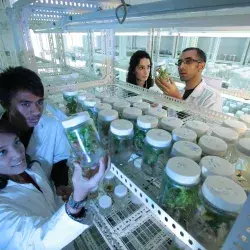 Igem Latam