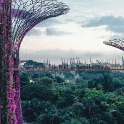 Singapur Verde NTU-Tec EIC