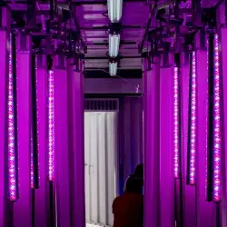 Desarrollan los primeros Contenedores de Cultivo Hidropónico en México