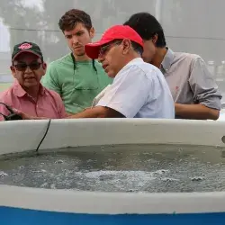 Taller tecnología biofloc