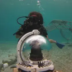 Alumna del Tec impulsa proyecto de siembra de coral en Cozumel
