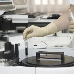 Alumna del Tec campus Morelia participará investigando en Harvard