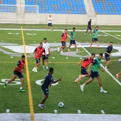 Rayados