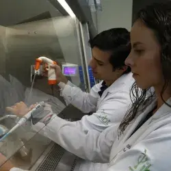 Ganan medalla de platino por métodos para reducir cáncer de colon  