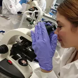 Práctica en los laboratorios