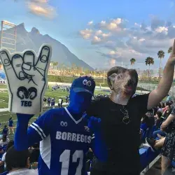 Borregos