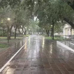 Suspende Tec en Monterrey actividades por lluvias