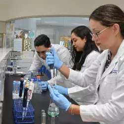 Mexicanos crean prueba rápida que detecta infecciones postquirúrgicas