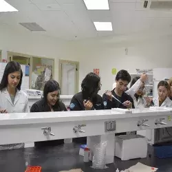 El equipo de iGEM Chihuahua realizando pruebas de laboratorio 