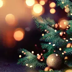 ¿De dónde vienen la fecha de Navidad, el árbol y Santa Claus? 