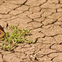 Tec firma carta de universidades para luchar contra cambio climático