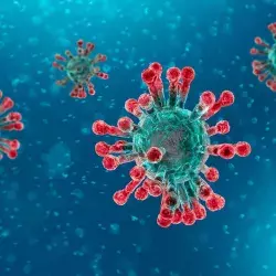 5 respuestas sobre la emergencia mundial por el nuevo coronavirus