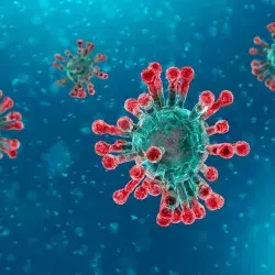 5 respuestas sobre la emergencia internacional por nuevo coronavirus