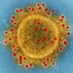 Coronavirus investigado por científicos del Tec de Monterrey