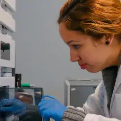 Recursos y herramientas esenciales para investigadores académicos