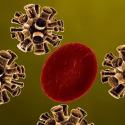 ¿Cómo daña el nuevo coronavirus el cuerpo humano?