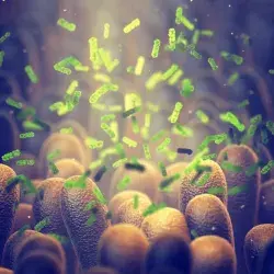 Especialista en microbiota del Institute of Food Science Research da platica en el Tec