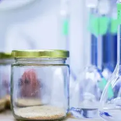 Alternativa ecológica